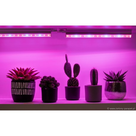 Lampa LED GROW do doświetlania roślin domowych 5 paneli