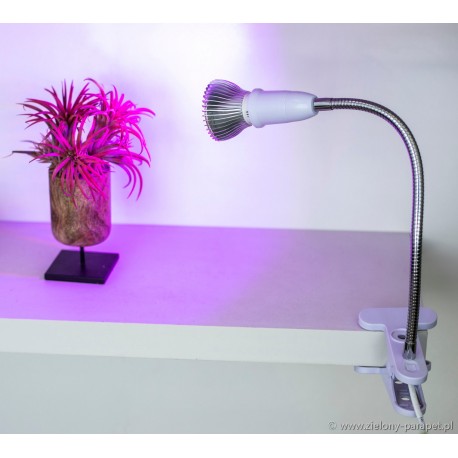 Lampa na klips do doświetlania roślin domowych